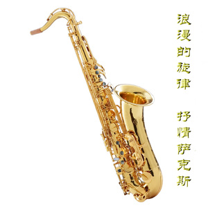 亚洲ee在线播放
